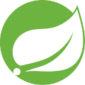 Java Spring icon